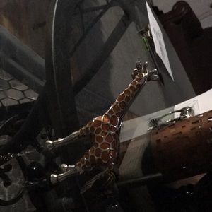 Meet your Posher, Lanna